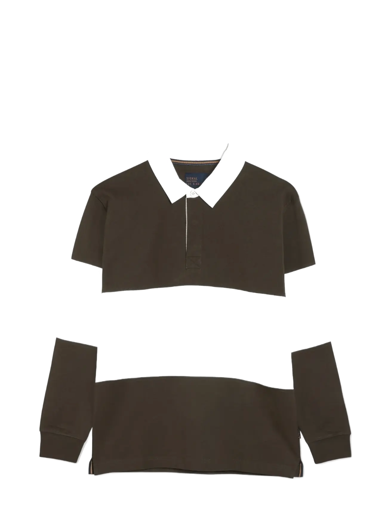 SIGNAL 17237 Dante Rugby - Kootud polosärgid - BROWN COFFEE / black