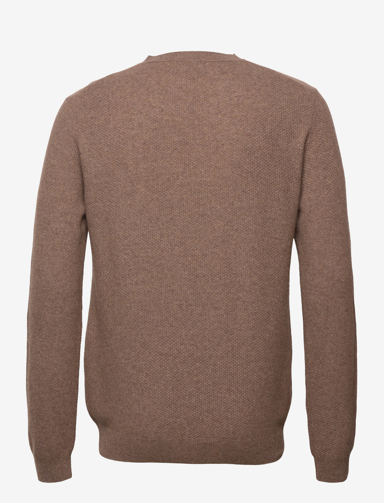 SIR of Sweden - Harald - light brown - 1