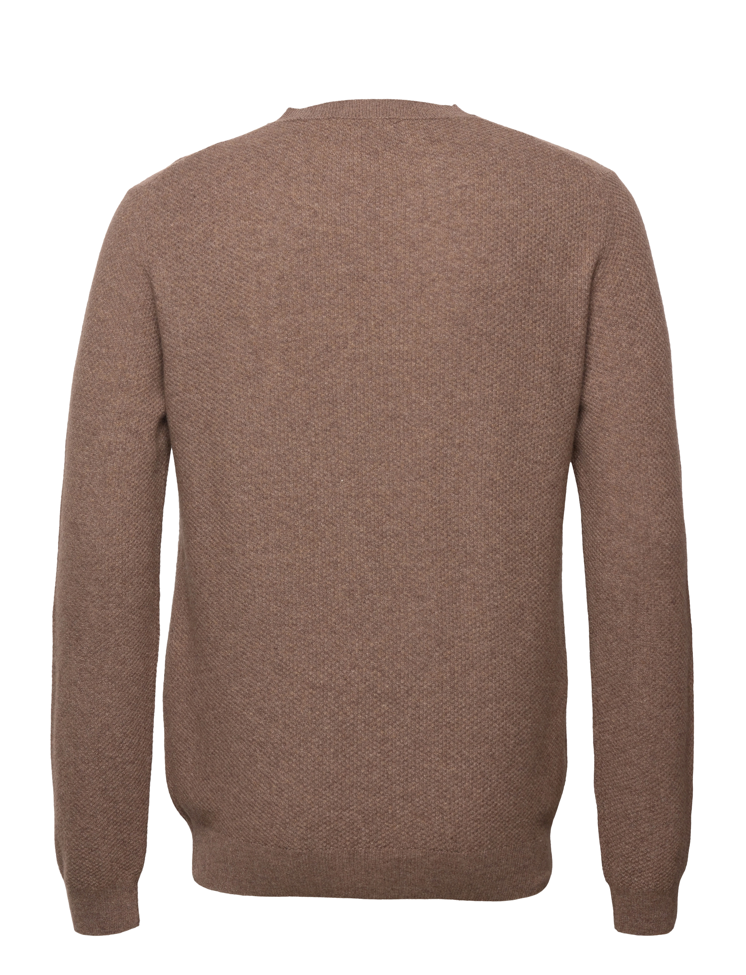 SIR of Sweden - Harald - light brown - 1