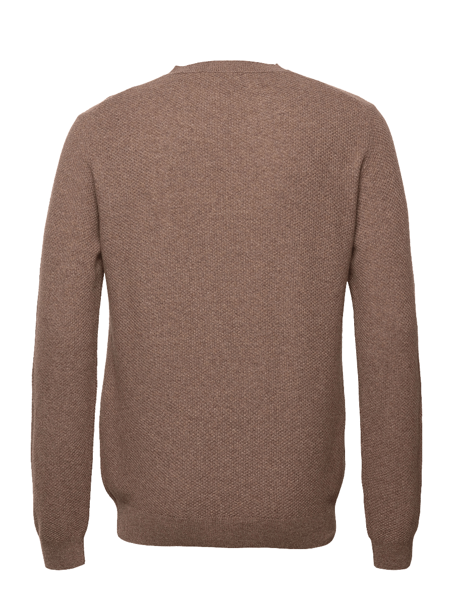 SIR of Sweden - Harald - light brown - 1