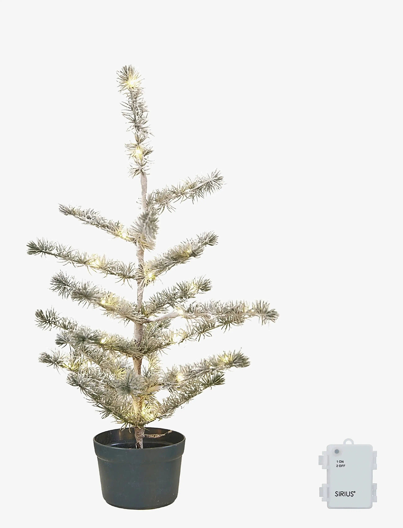 Sirius Home - Alfred CederTree - green,snow - 0