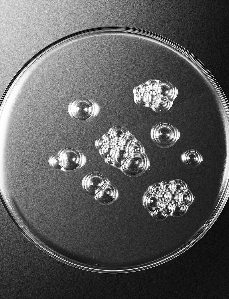 Sisley - Sisleÿum Revitalizing Toning Lotion - sermi - clear - 4