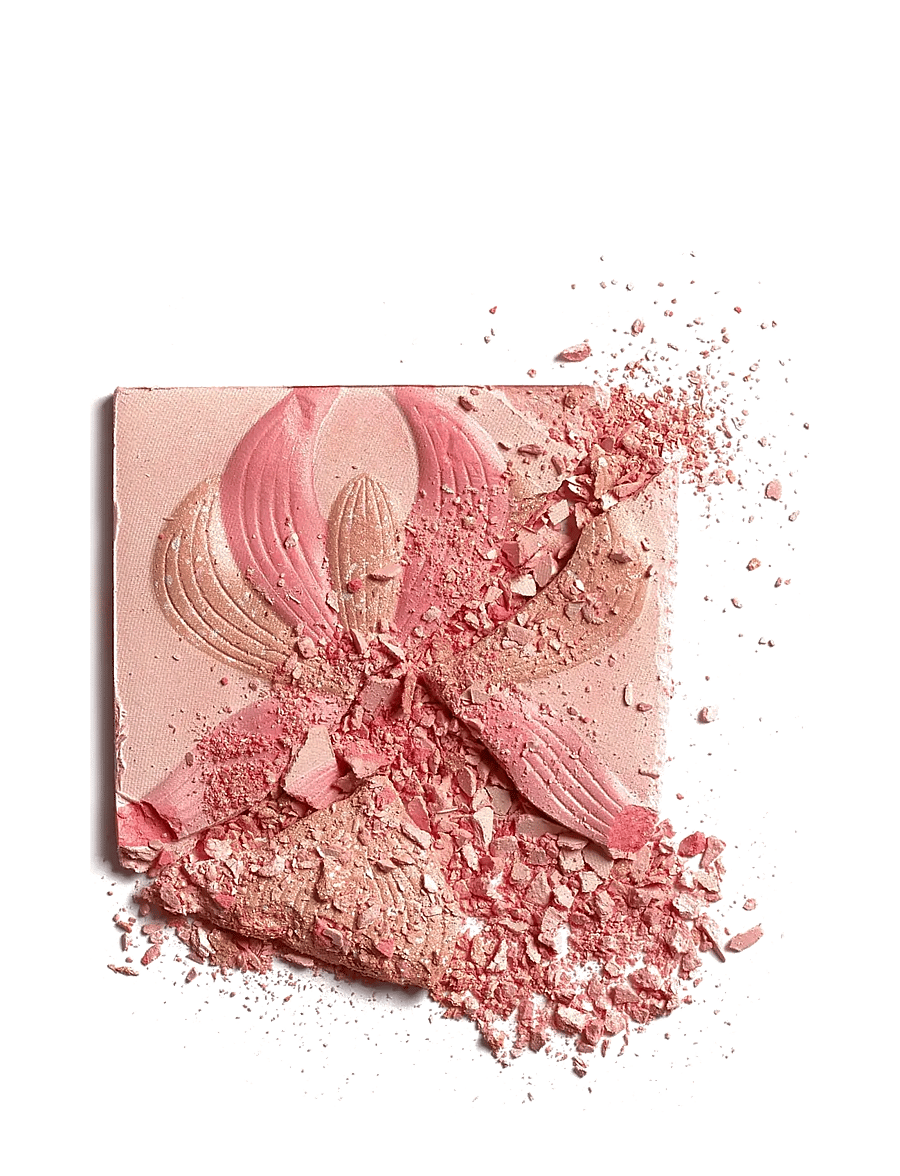 Sisley - Palette l'Orchidée - smink - rose - 2