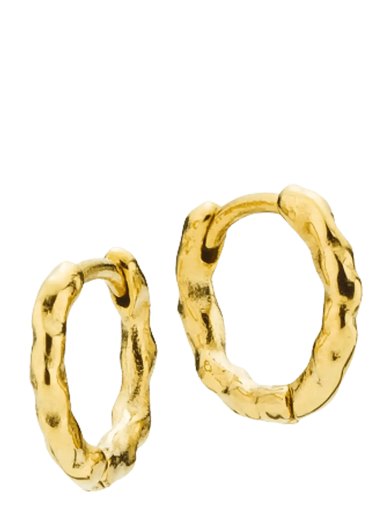 Sistie - Hoop - Creoles Gold-plated - creoler & hoops - gold - 0