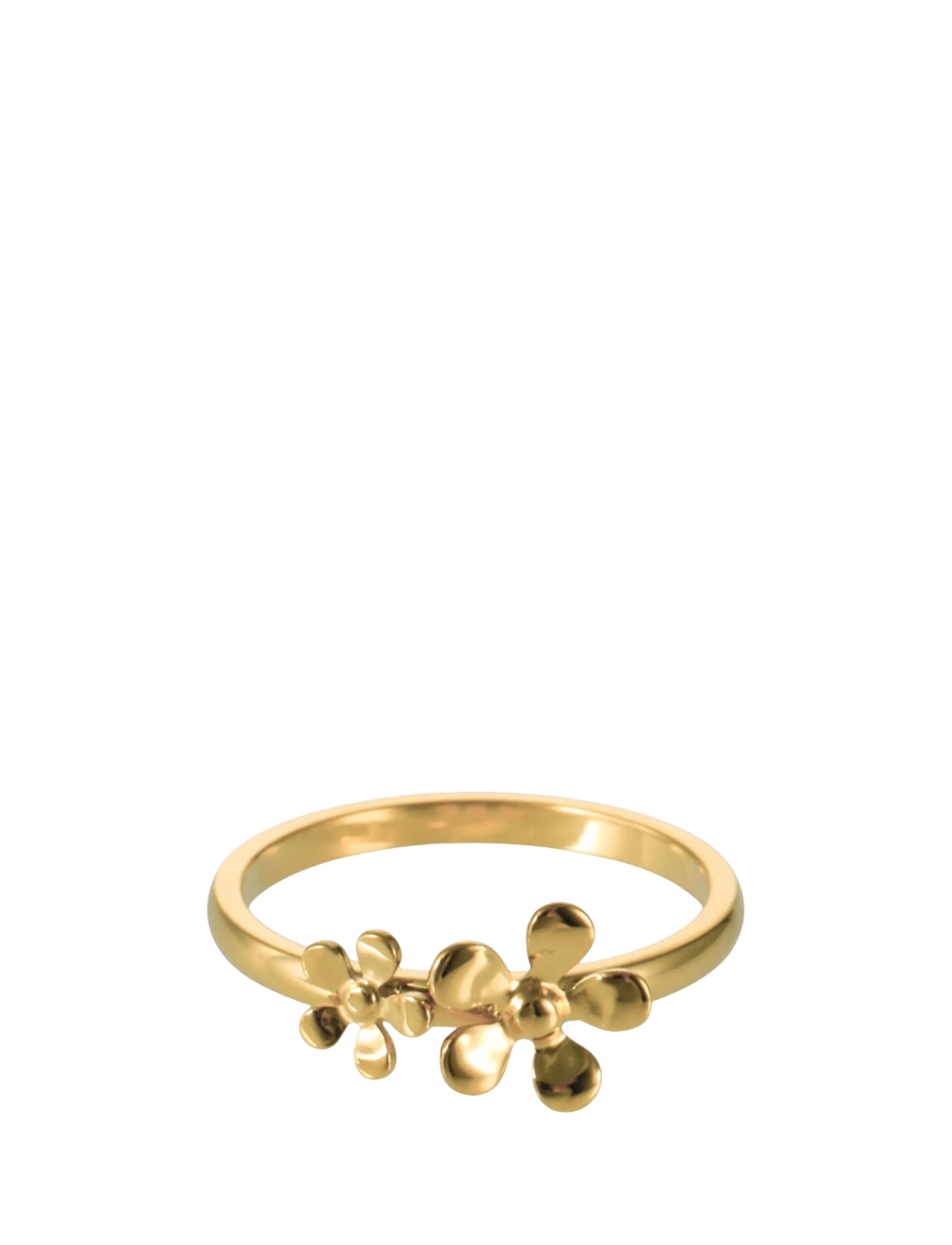 Sistie - Celeste - peoriided outlet-hindadega - gold - 2