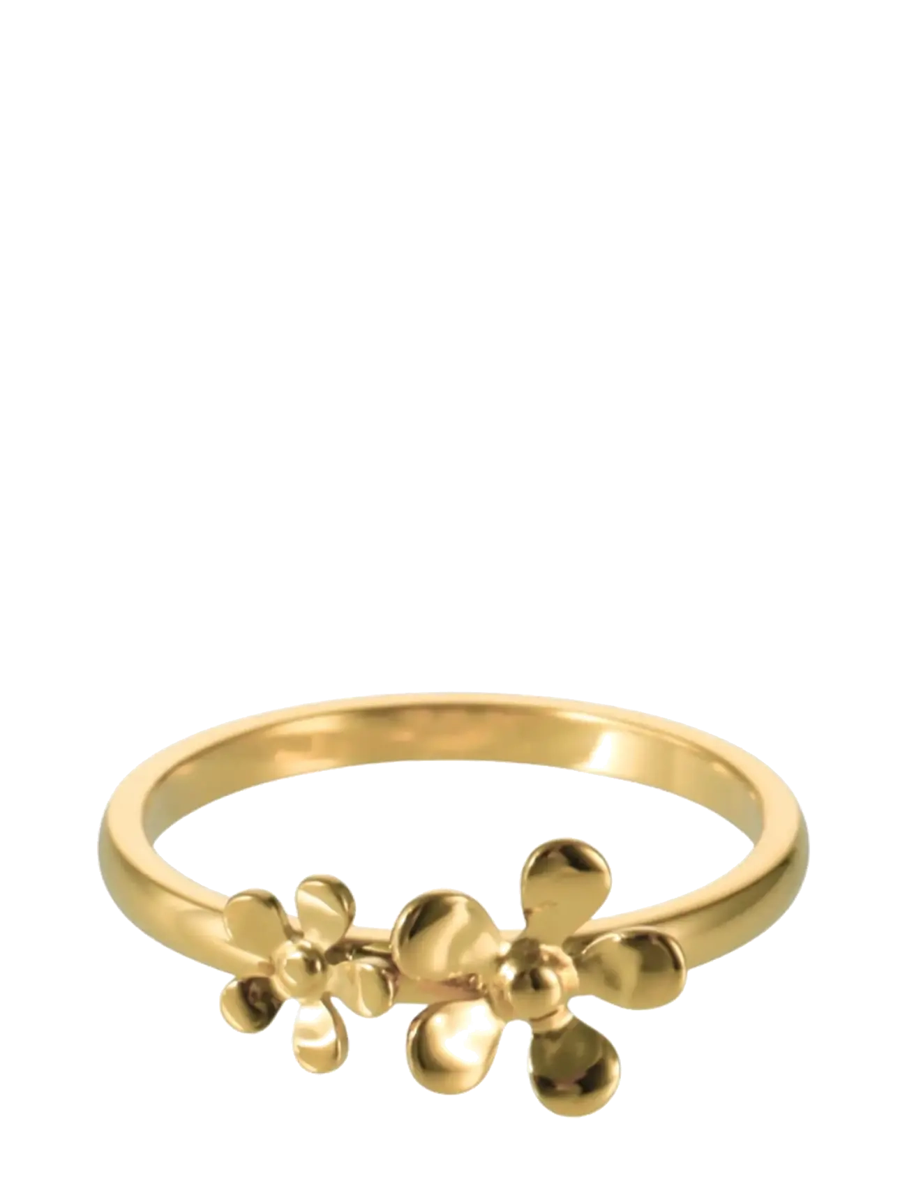 Sistie Celeste - Ringe - GOLD / gold