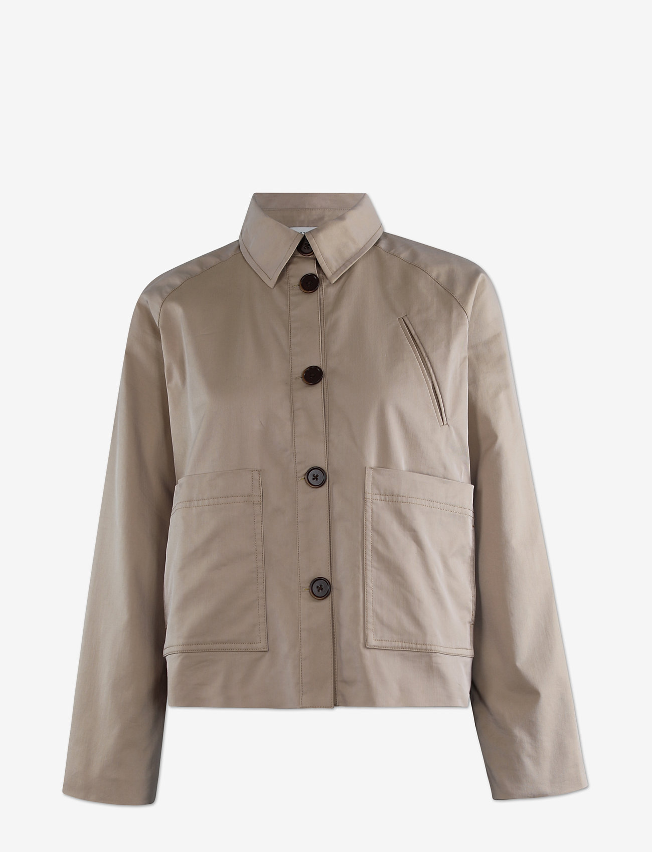 Six Ames - PIA - sesame - 0