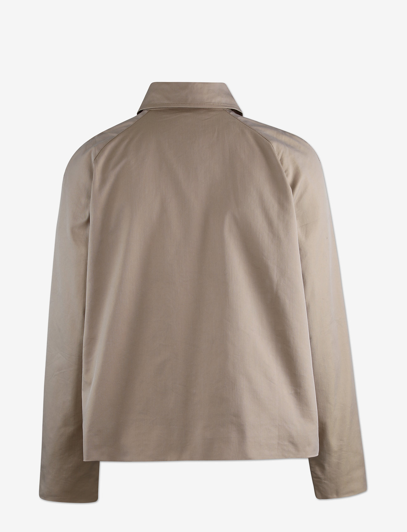 Six Ames - PIA - sesame - 1