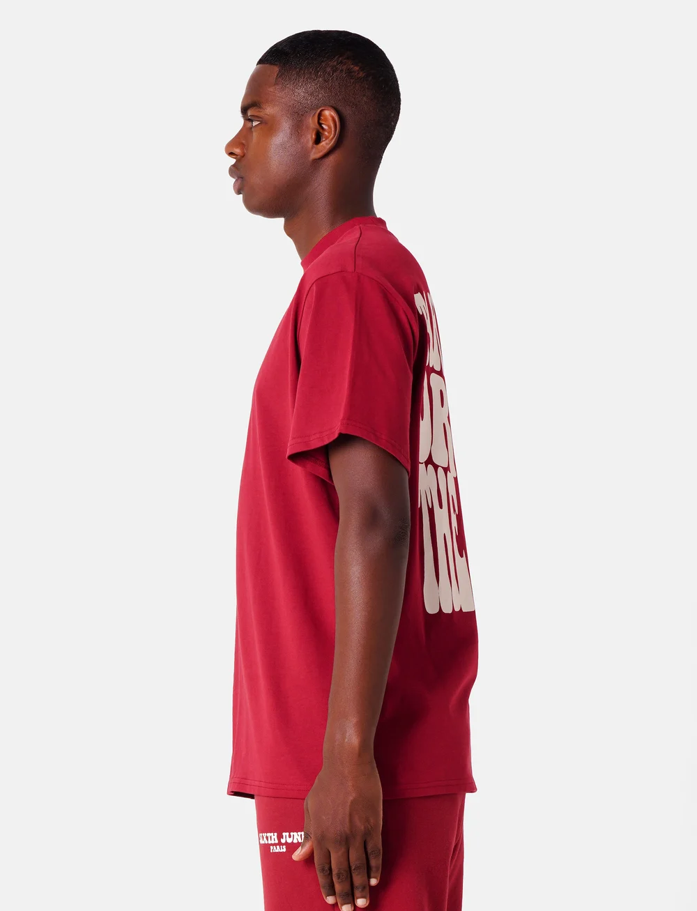 SIXTH JUNE - TAKE THE RISK BACK PRINTED TEE - kortärmade t-shirts - burg - 5