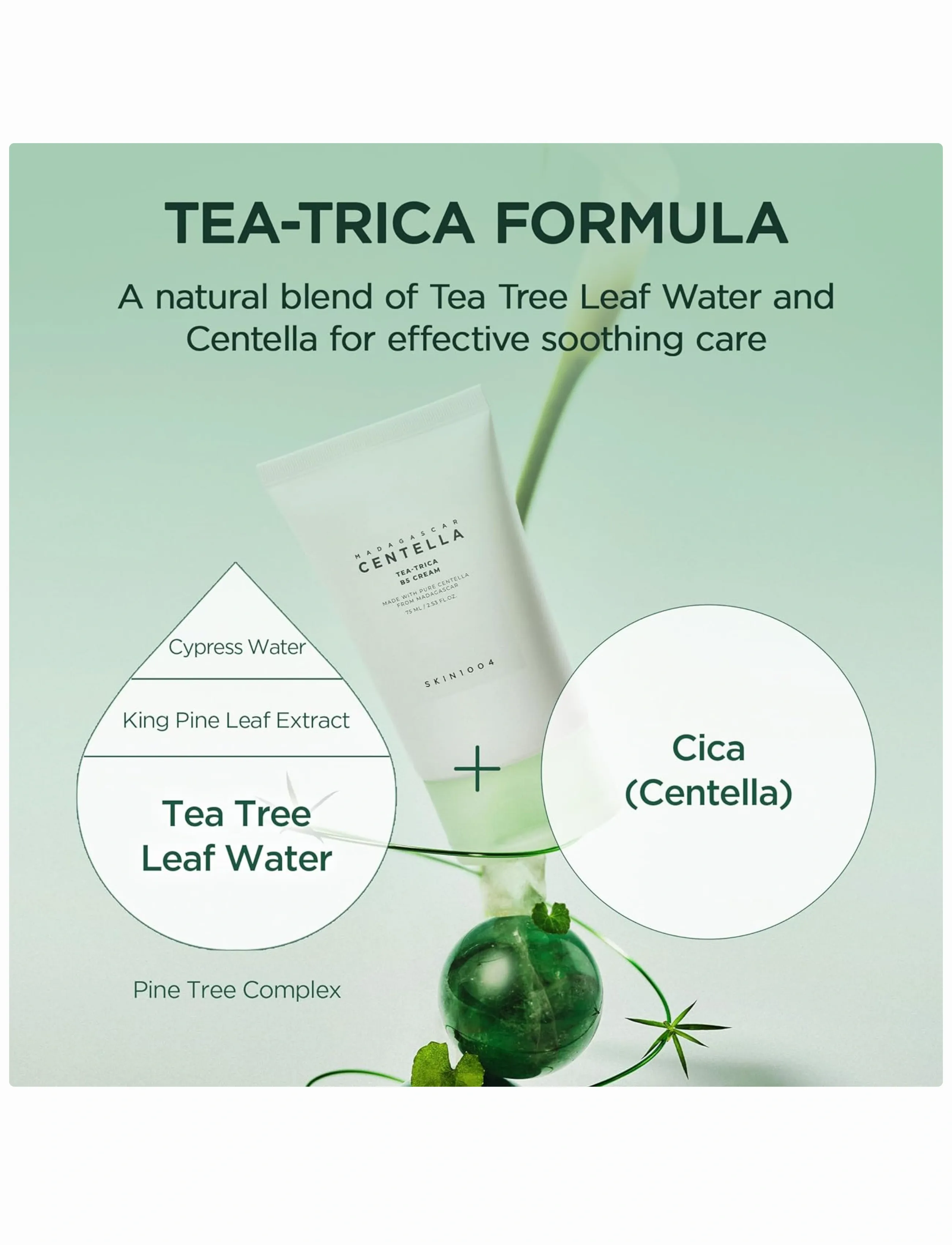 SKIN1004 Tea-Trica B5 Cream - Streetstyle - CLEAR / undefined