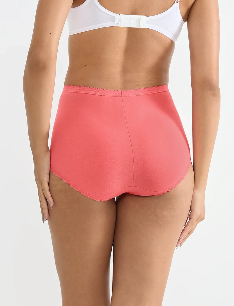 sloggi - sloggi Basic+ Maxi C4P - midi & maxi trosor - red - dark combination - 4