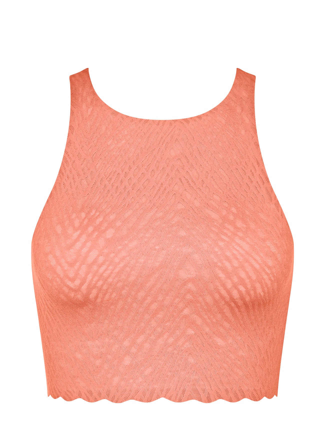 LOVELY APRICOT