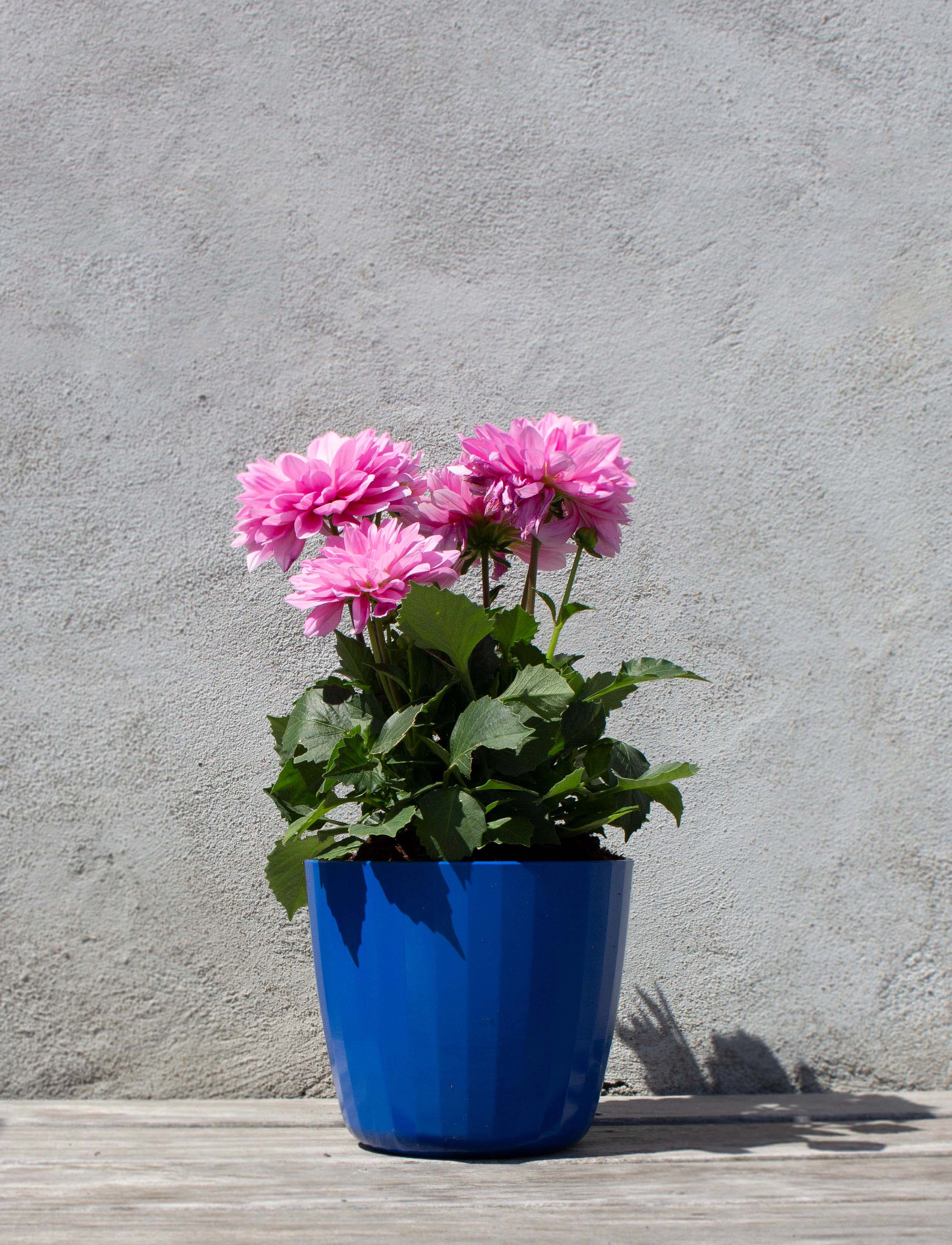 SMALLrevolution Berta Flowerpot, Ø16.5X18.5 cm, Decoration, Blau - Flower Pots, Homeware