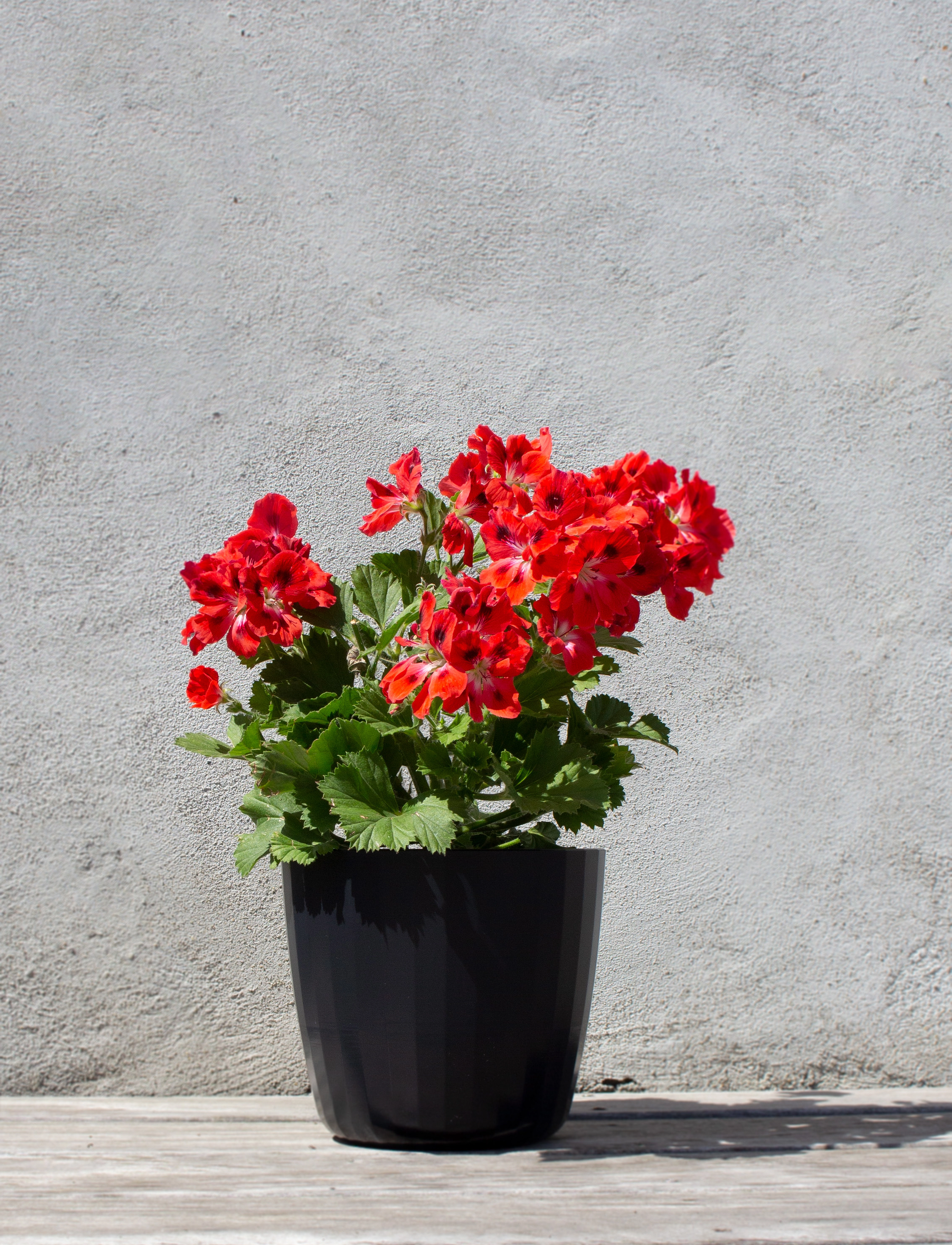 SMALLrevolution Berta Flowerpot, Ø16.5X18.5 cm, Decoration, Schwarz - Flower Pots, Homeware