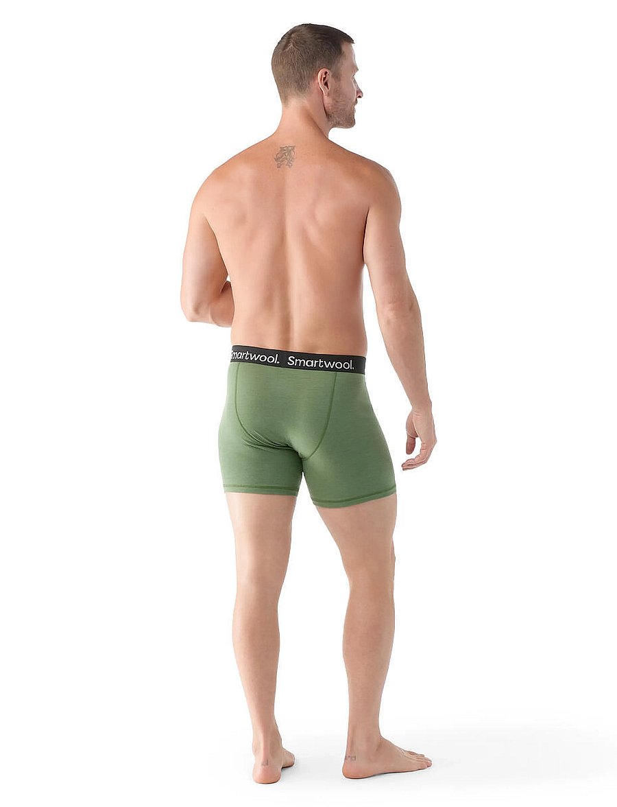 Smartwool - Men's Merino Boxer Brief Boxed - fern green - 2