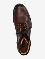Sneaky Steve - Nicco Leather Shoe - støvler med snøre - brown - 3