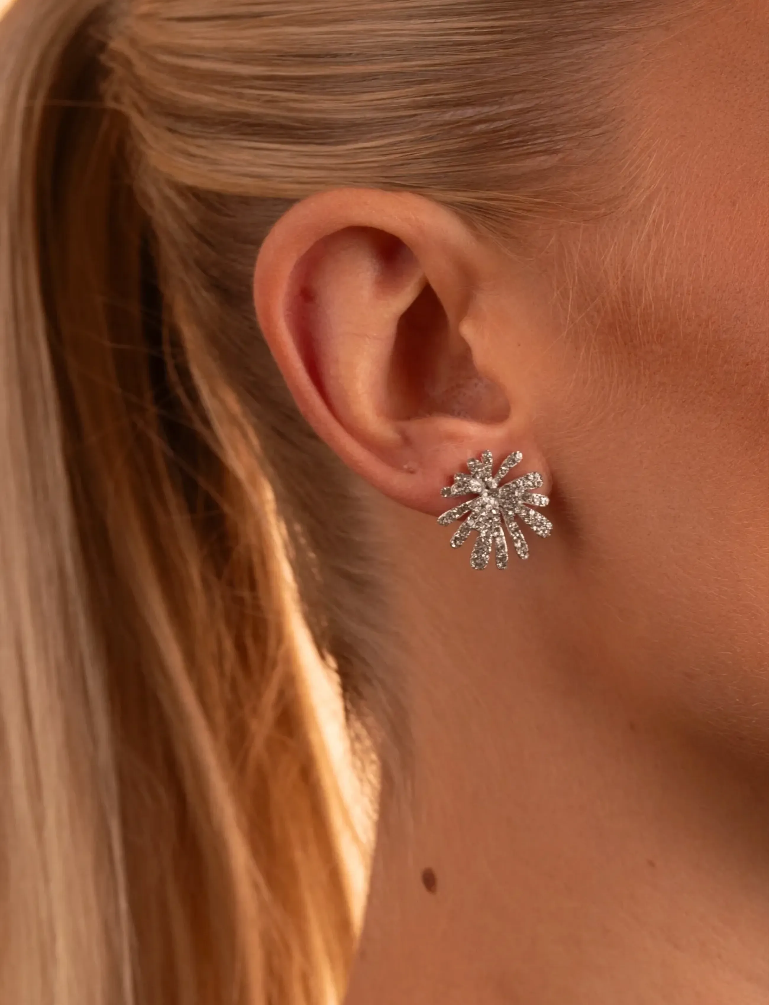 SNÖ of Sweden Holly Sparkling Small Ear S/Clear - Onesize, One Size, Silver, Øreringe > Ørestikker, Dame