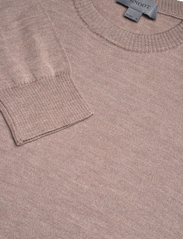 SNOOT - CARRERA DUE M - knitted round necks - morel - 5
