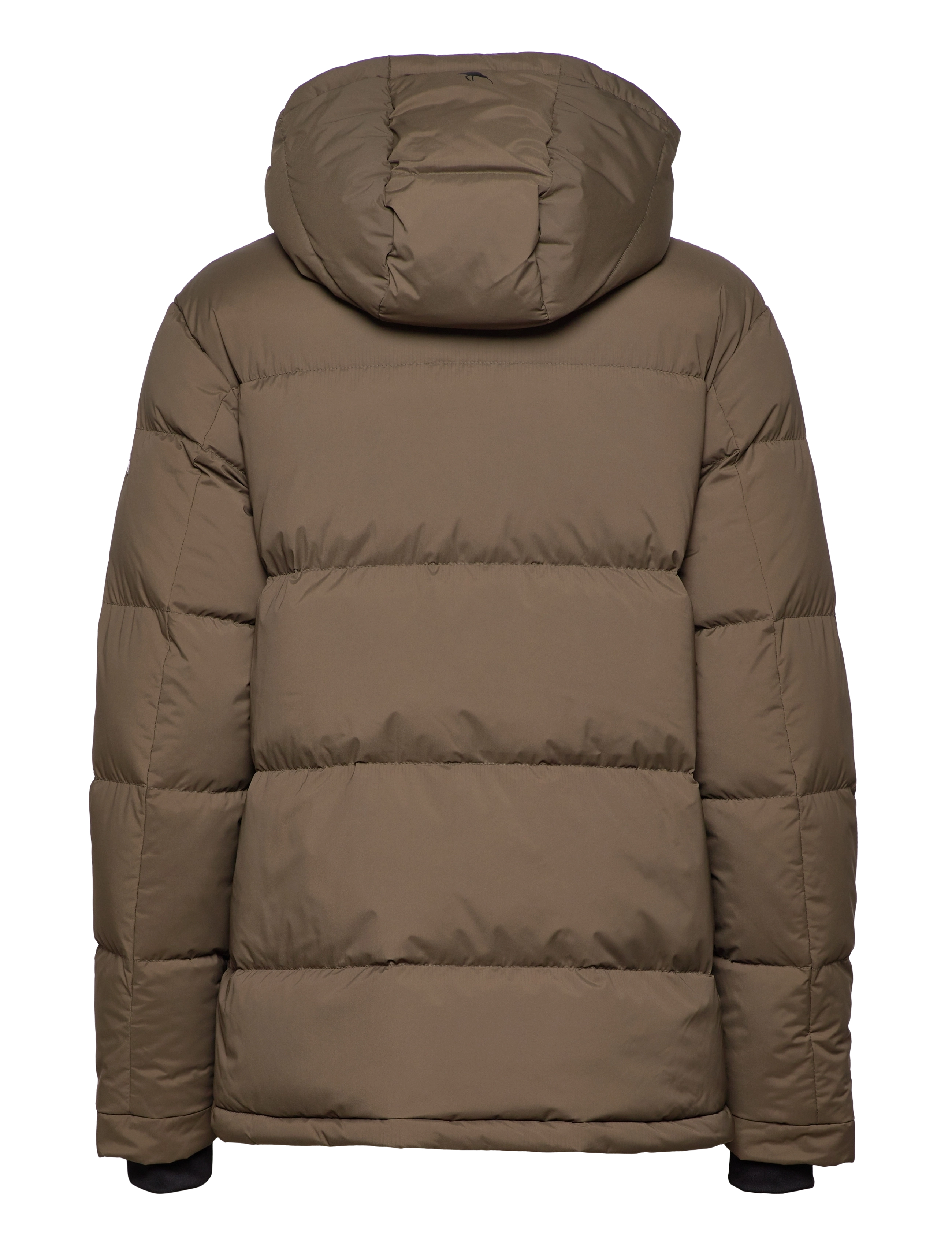SNOOT - NEIVE JKT W - crocodile - 1