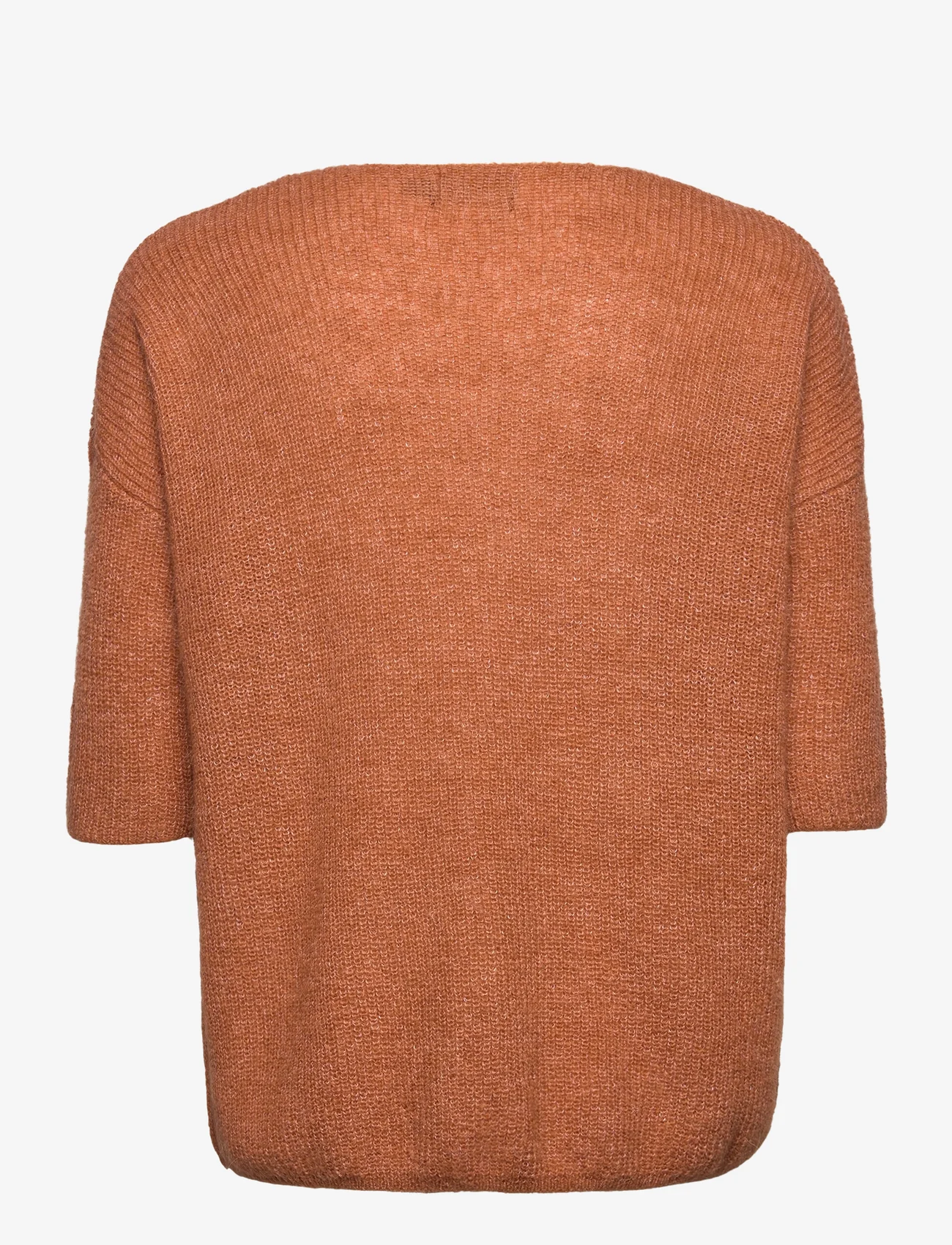 Soaked in Luxury - SLTuesday Jumper - pullover - amber brown - 1