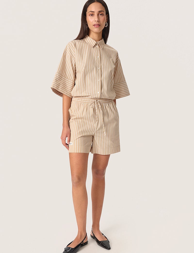 Soaked in Luxury - SLKaily Shorts - casual shorts - travertine stripes - 3