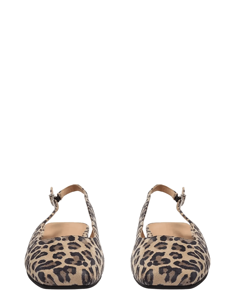 Sofie Schnoor - NICOLESW LEO BALLERINA - platta sandaler - leopard - 2