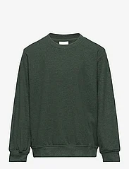 Sofie Schnoor Young - Sweatshirt - džemperiai - dark green - 0