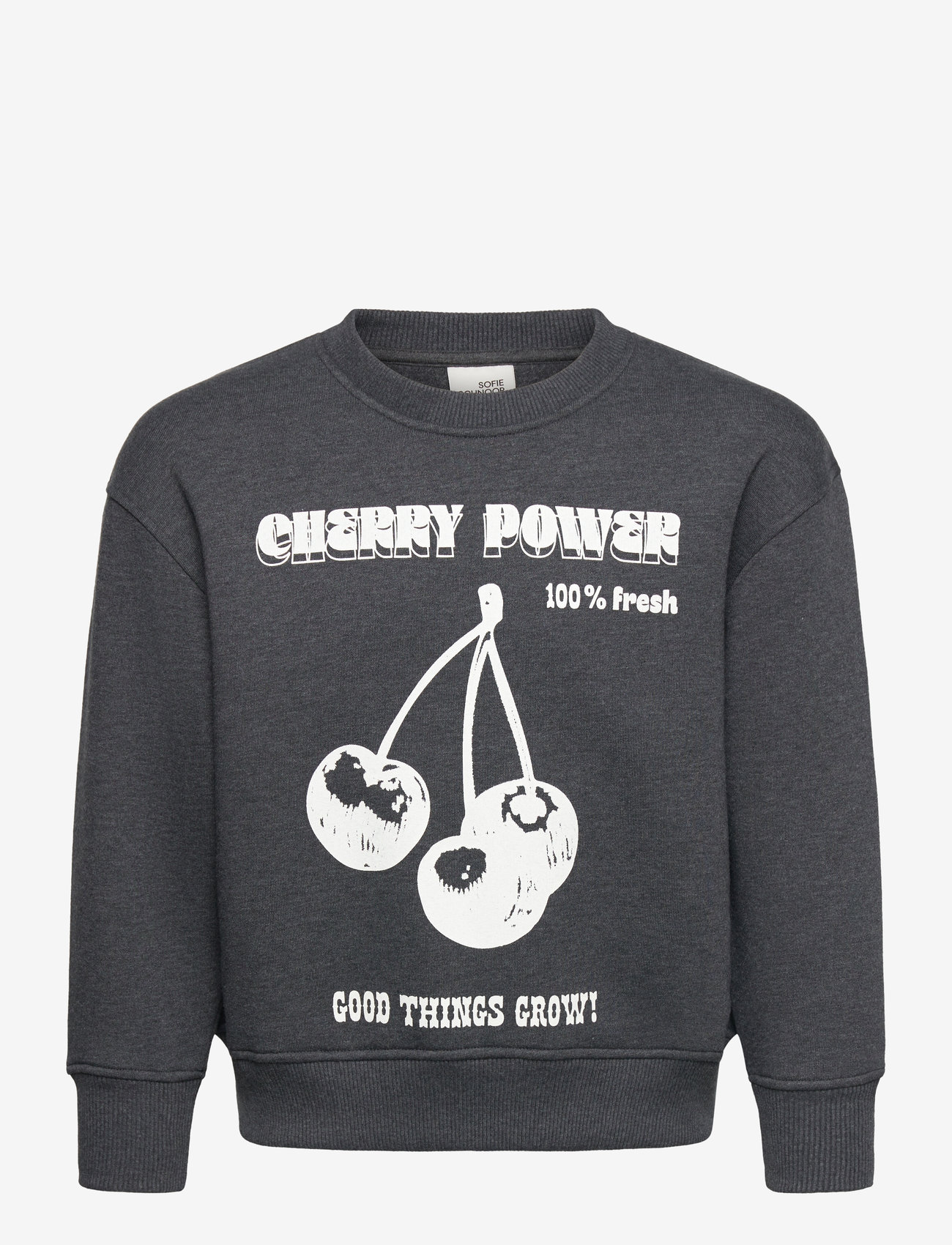 Sofie Schnoor Young - PARISY SWEATSHIRT - dark grey melange - 0