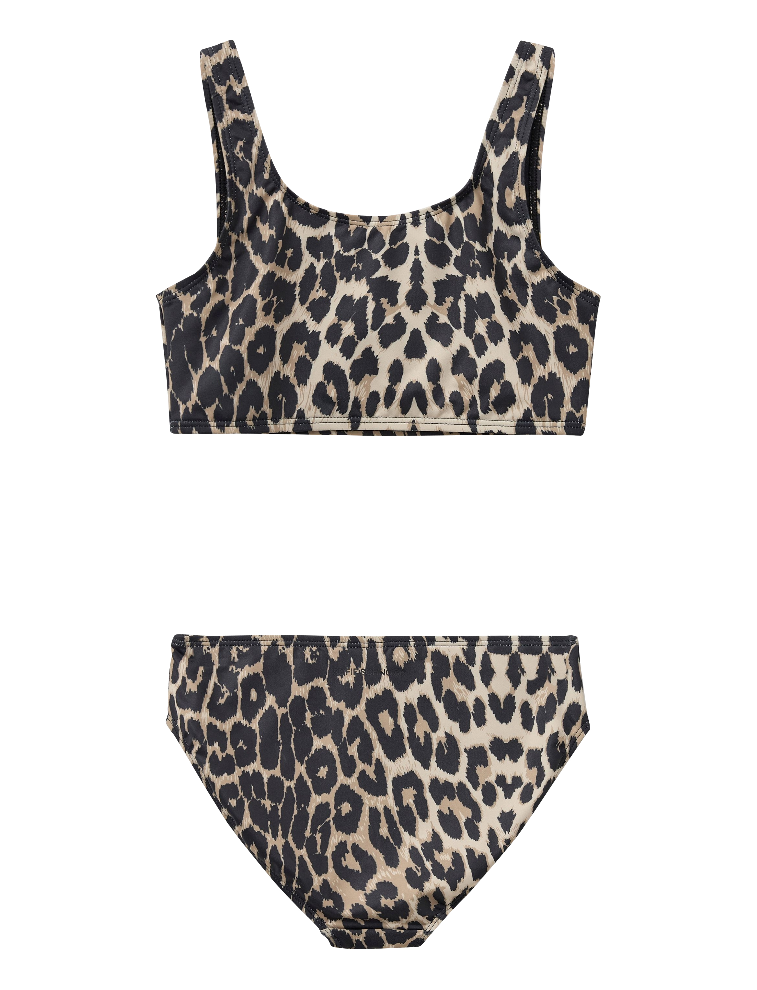 LIGHT BROWN LEOPARD