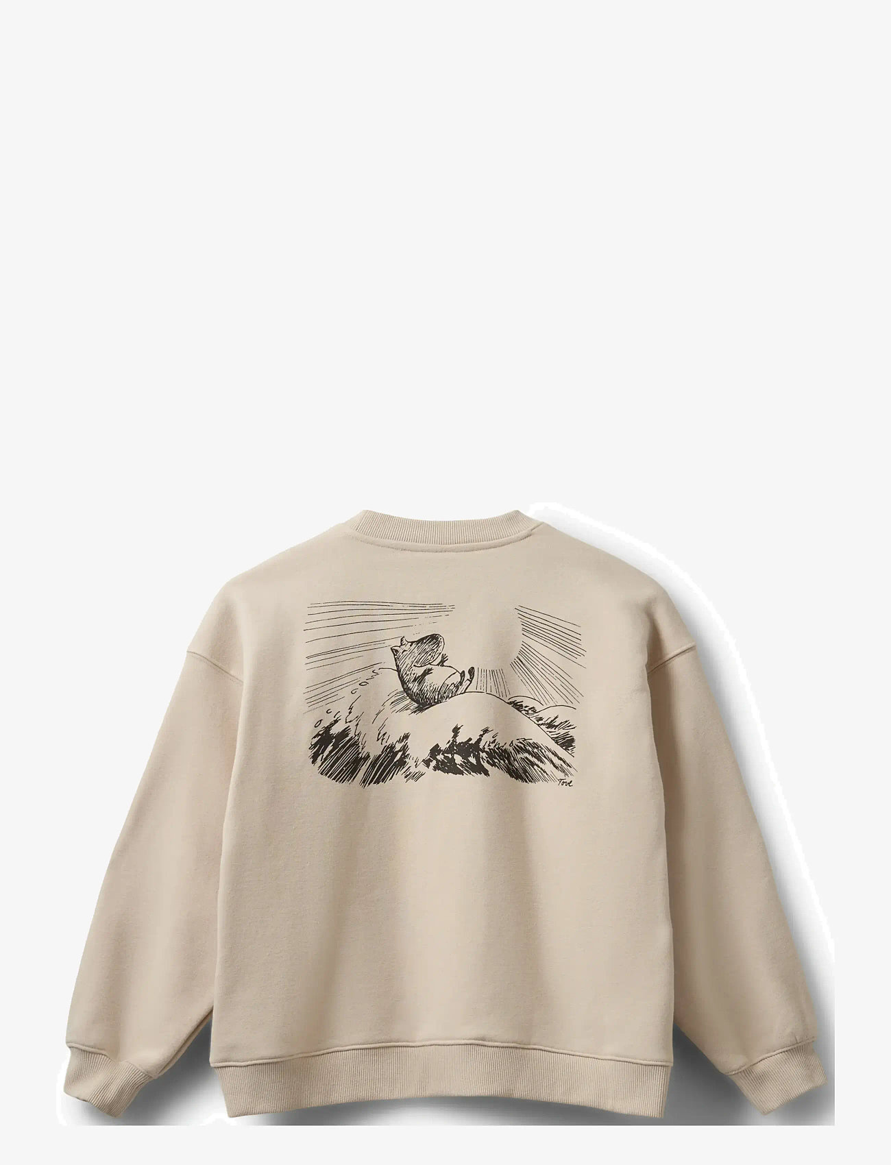 Sofie Schnoor Young - ElinSY Sweatshirt - sweatshirts - fog - 1