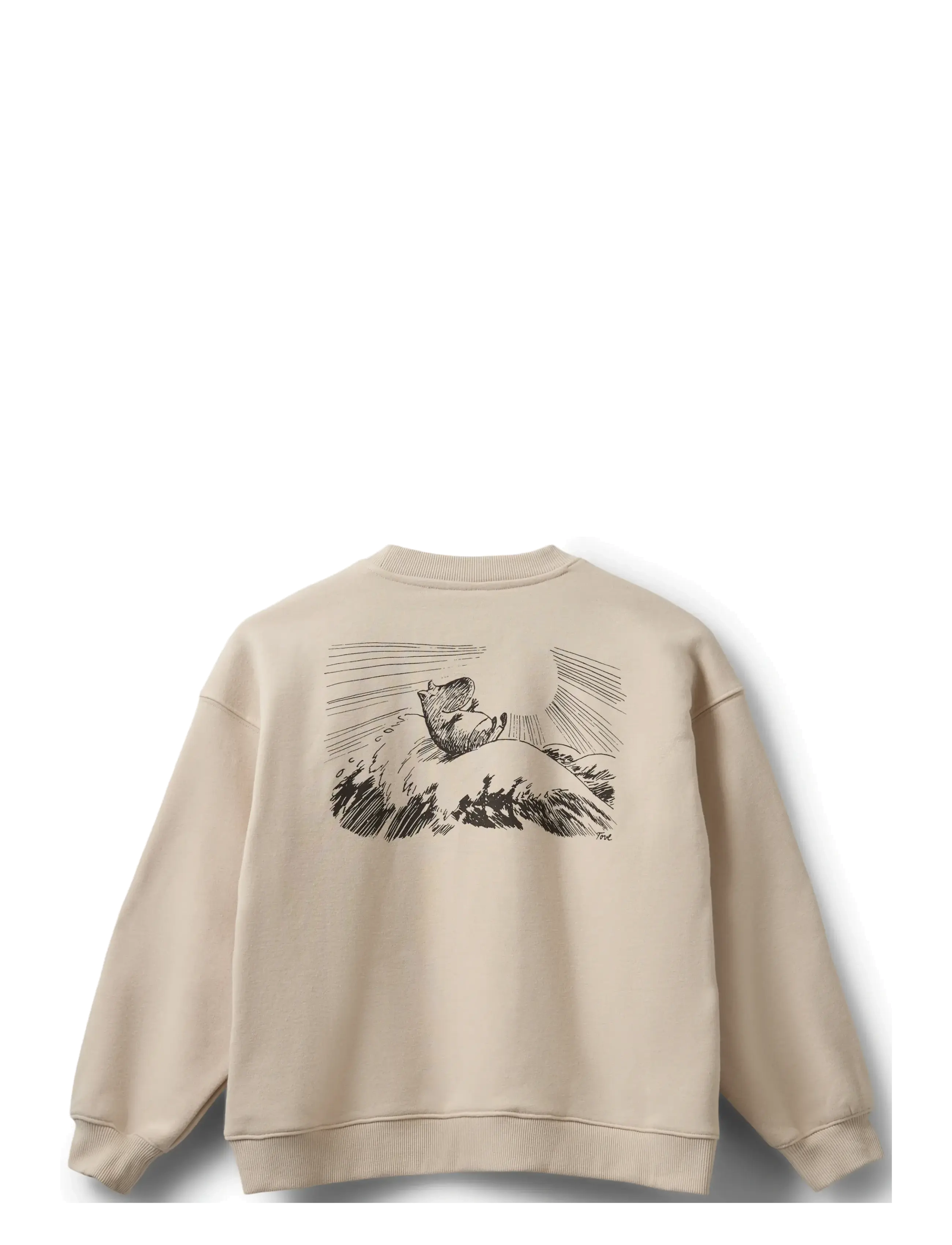Sofie Schnoor Young - ElinSY Sweatshirt - sweatshirts - fog - 1