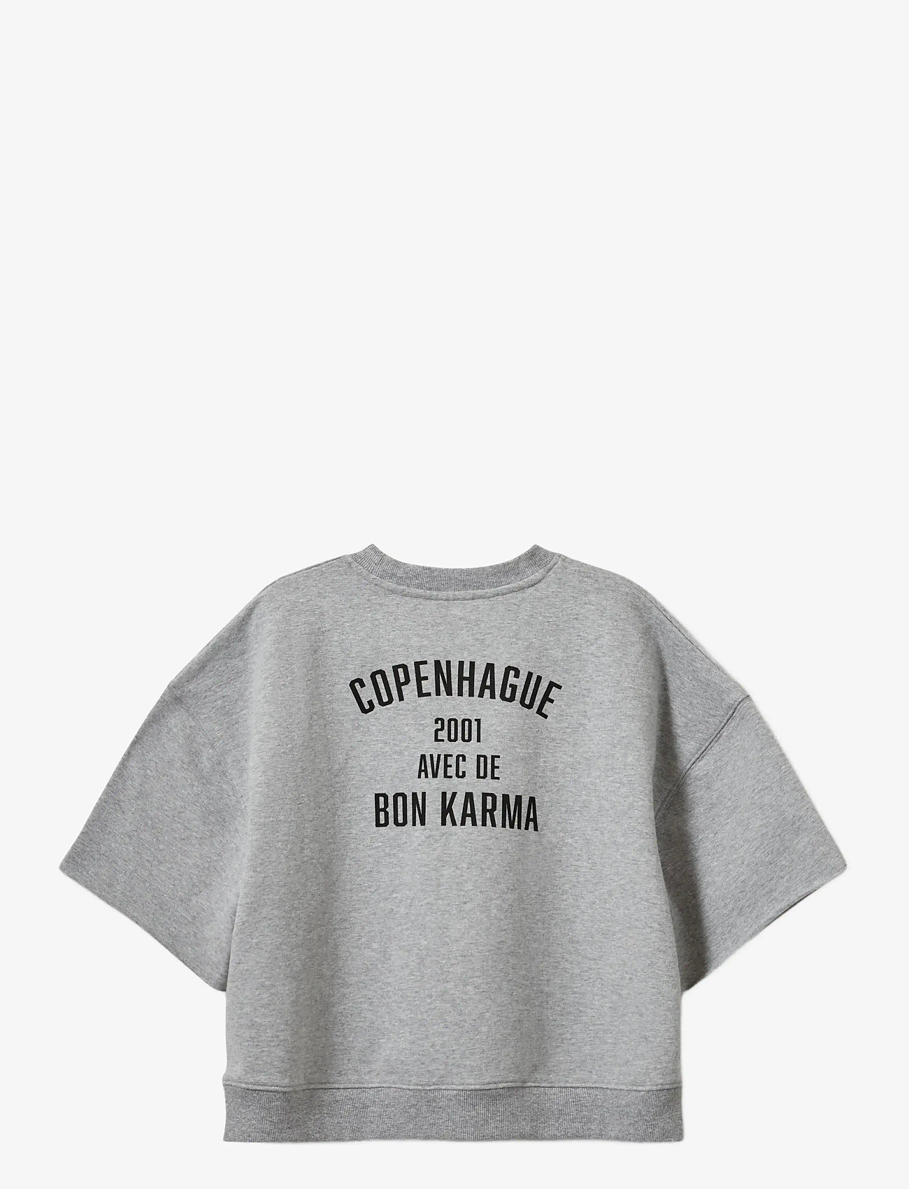 Sofie Schnoor Young - EloiseSY Sweatshirt - sweatshirts - grey melange - 1