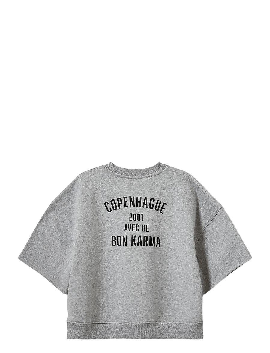 Sofie Schnoor Young - EloiseSY Sweatshirt - sweatshirts - grey melange - 1