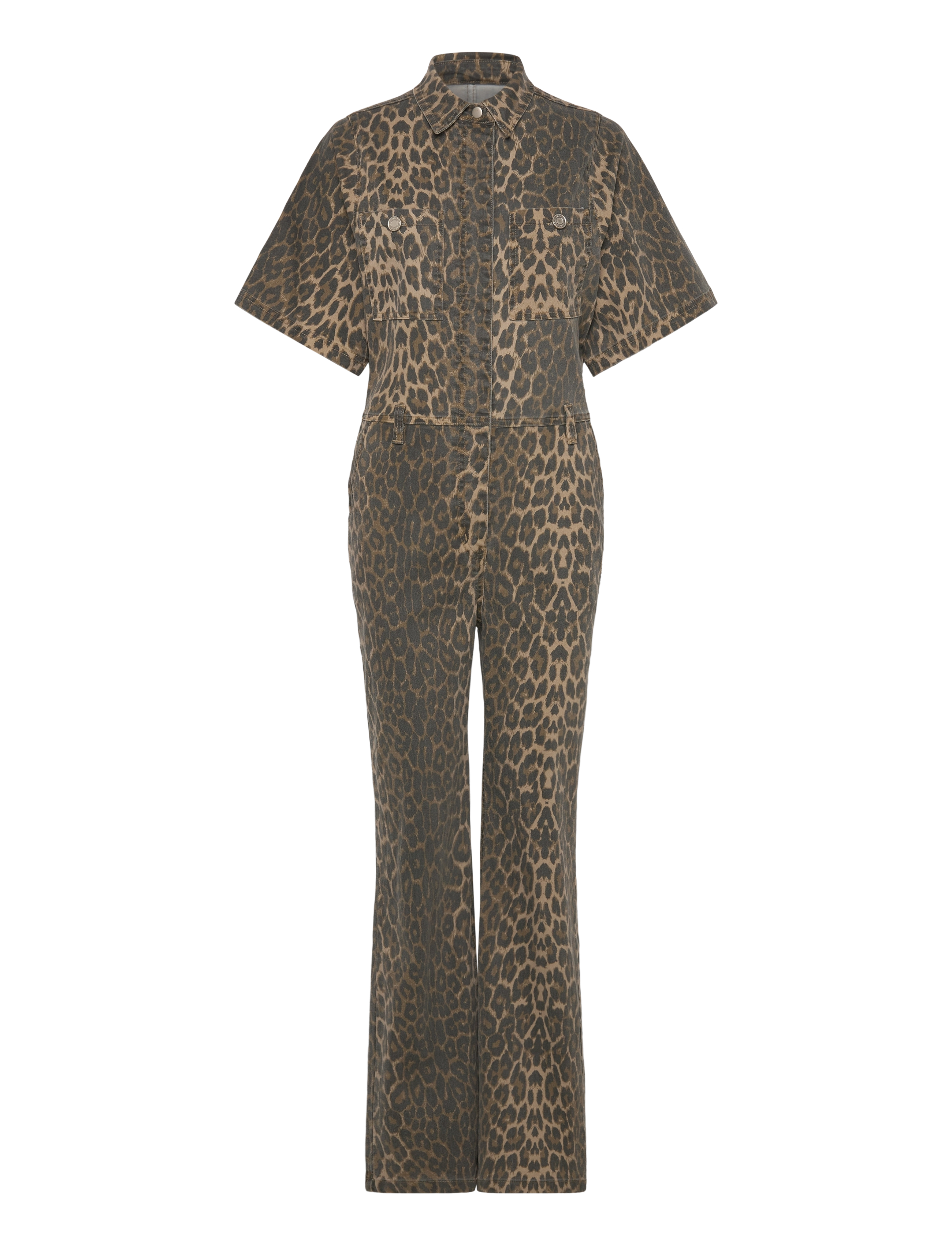 LIGHT BROWN LEOPARD