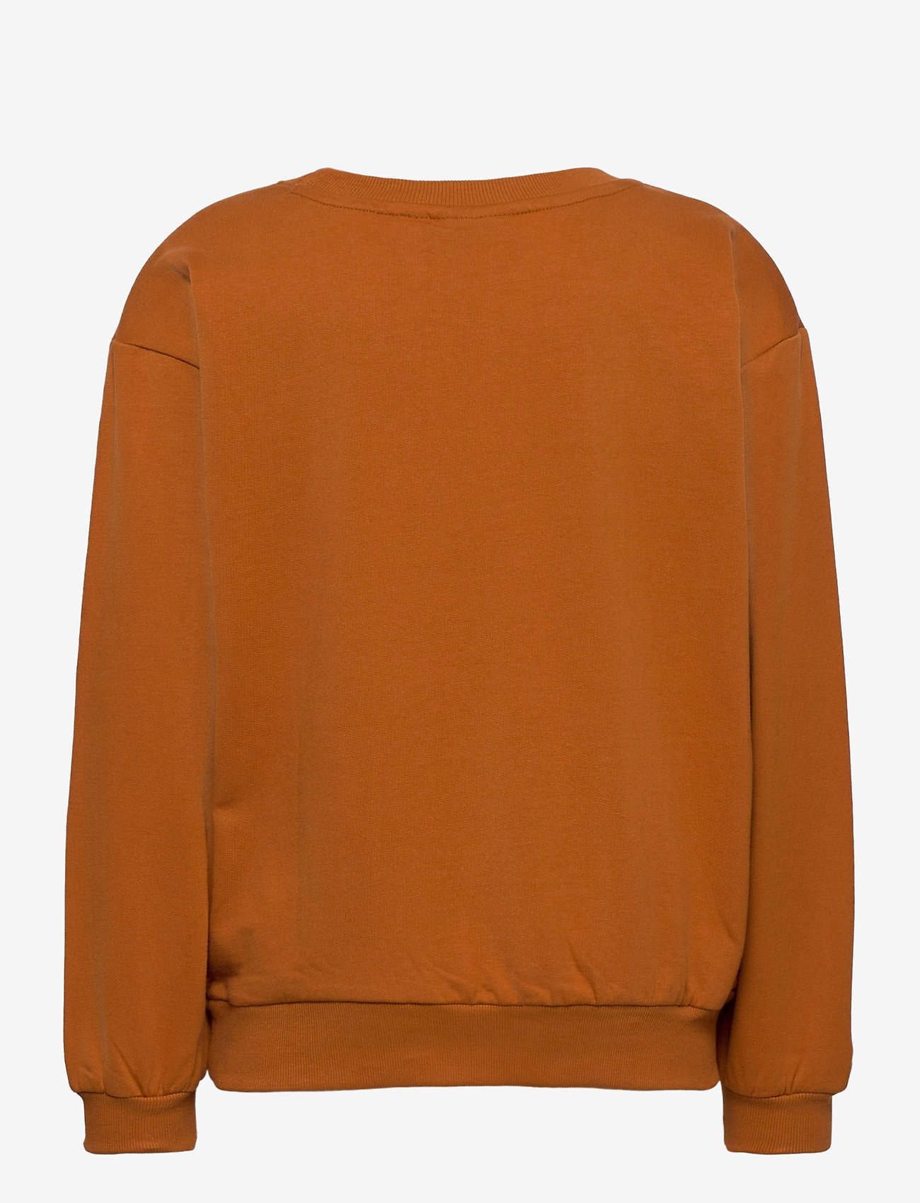 Soft Gallery - Garly Sweatshirt - pumpkin spice, bouquet emb - 1