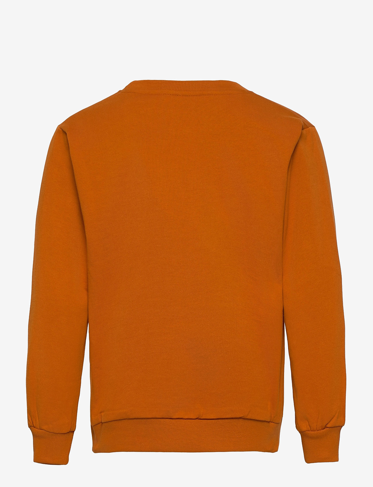 Soft Gallery - Konrad Sweatshirt - pumpkin spice, mountains - 1