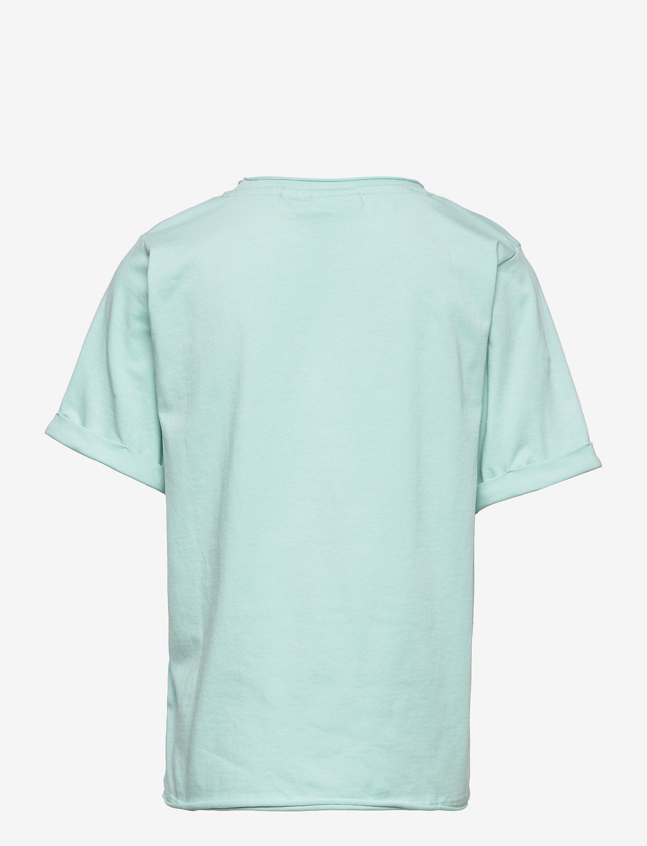 Soft Gallery - SGJaden Sharks ss tee - canal blue - 1