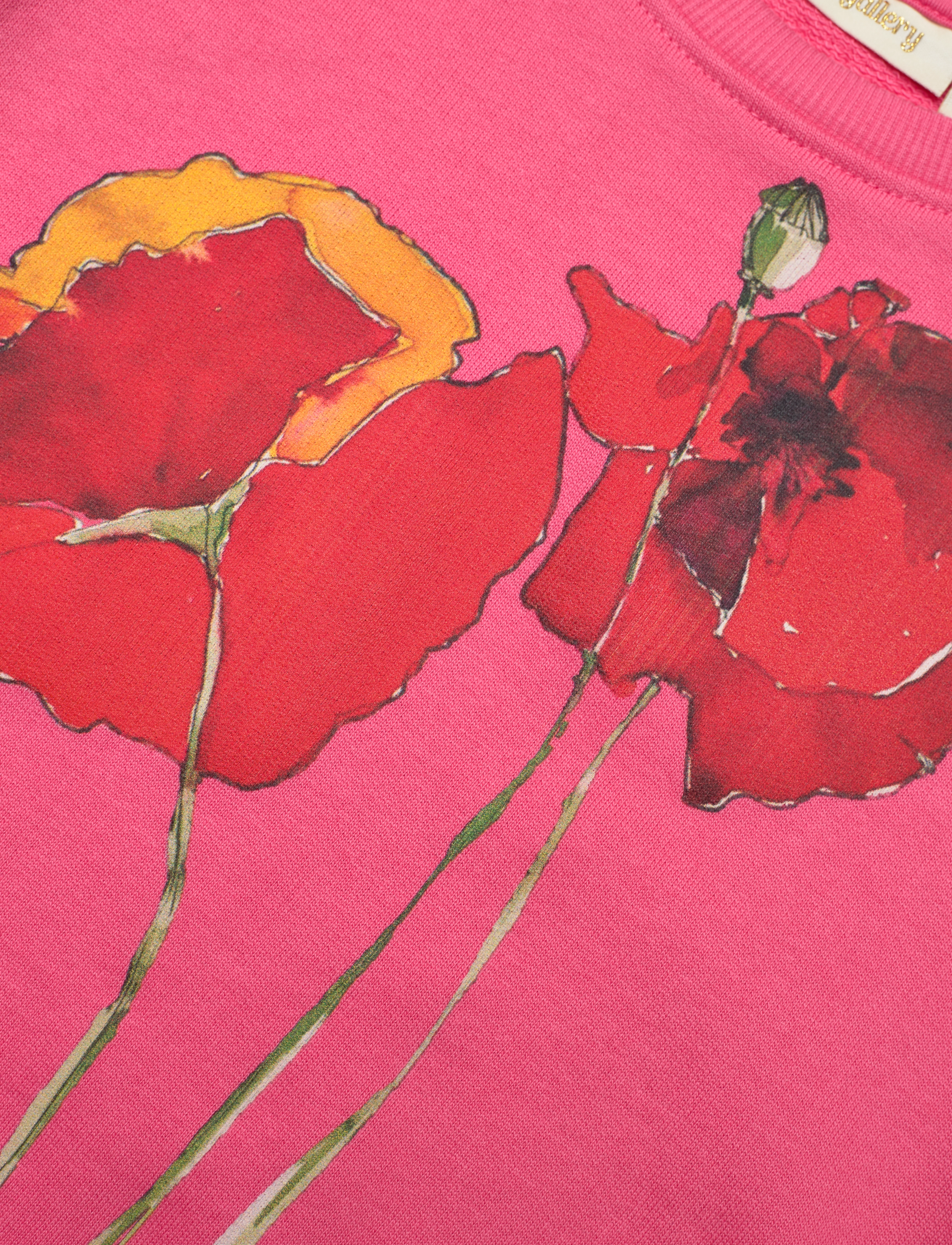 Soft Gallery - SGGeneva Poppy Sweatshirt - camelia rose - 2