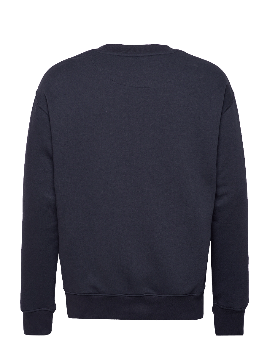 Solid - SDLENZ CREW SW - collections - insignia blue - 2
