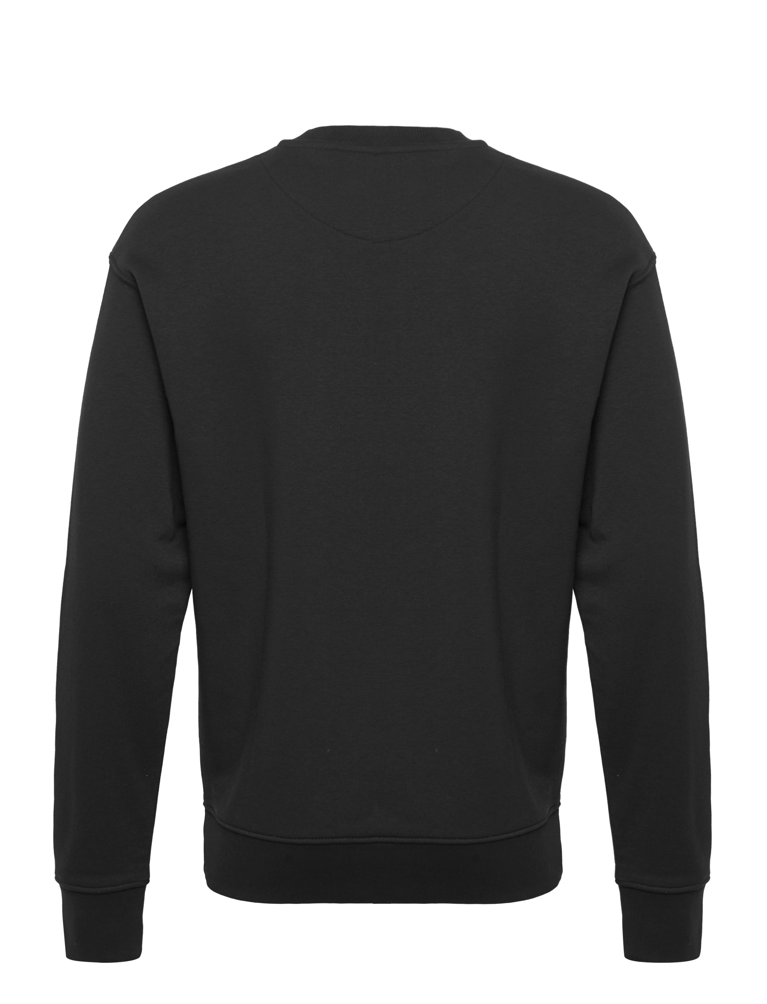 Solid - SDLENZ CREW SW - sweatshirts - true black - 2