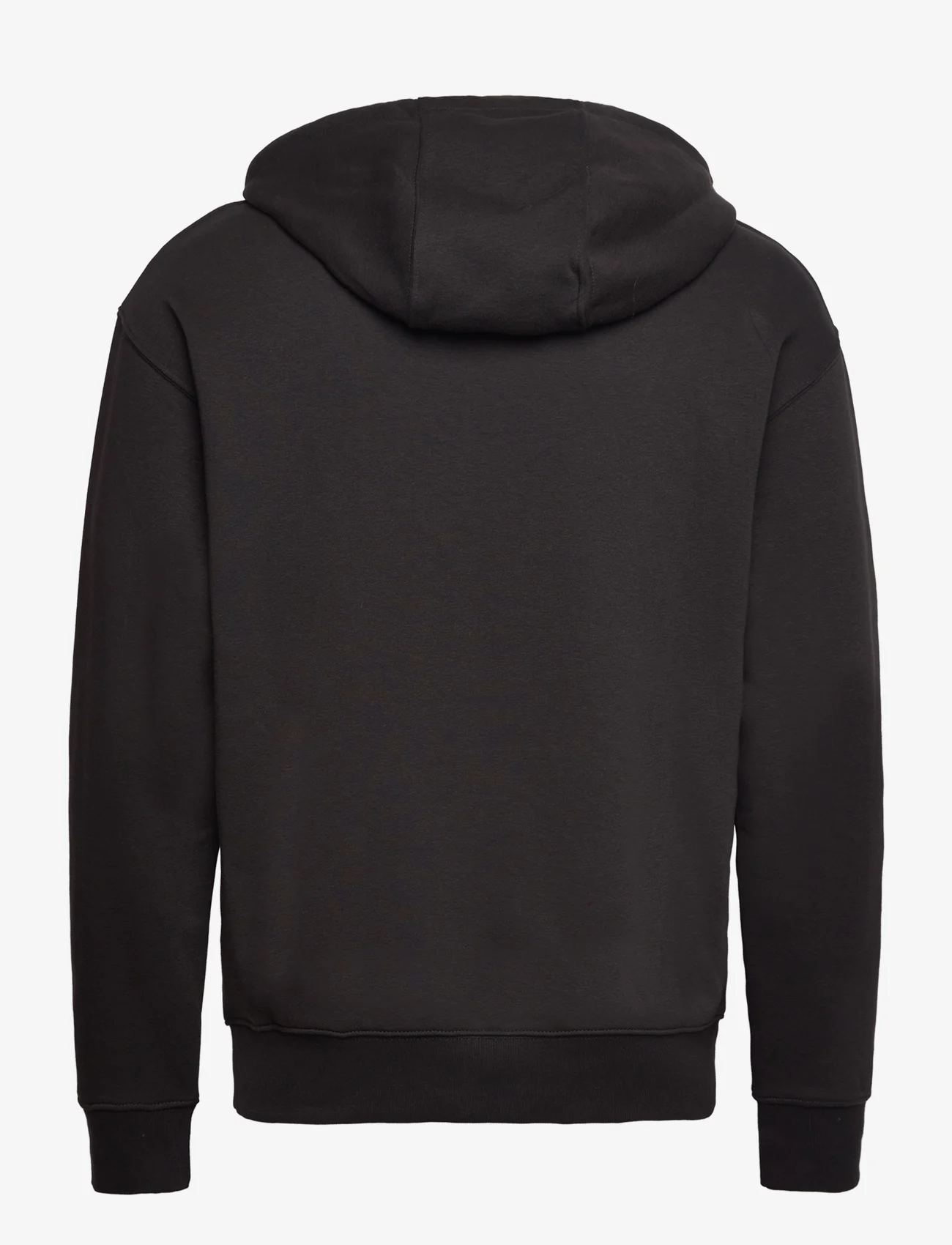 Solid - SDLenz Hood SW - hoodies - true black - 1