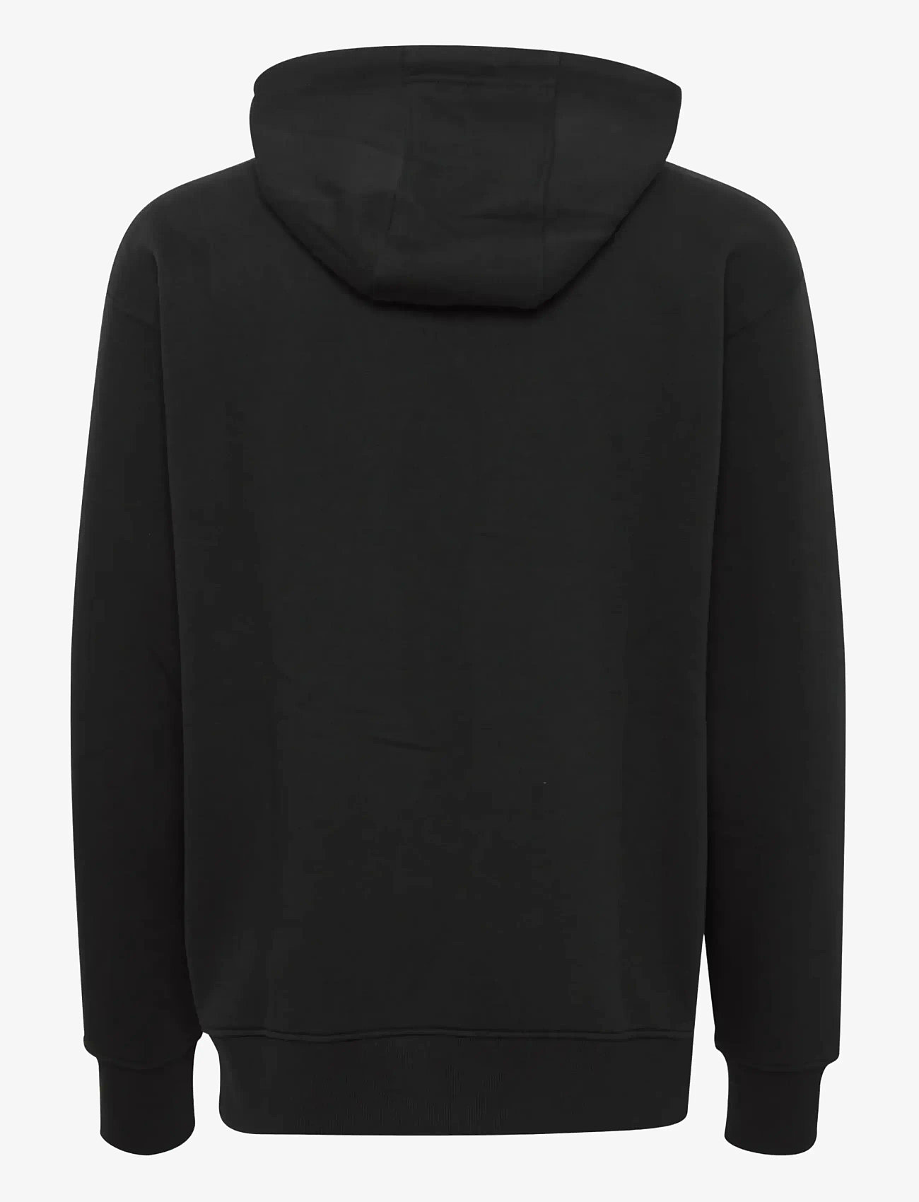 Solid - SDLENZ ZIPPER SW - sweatshirts - true black - 2