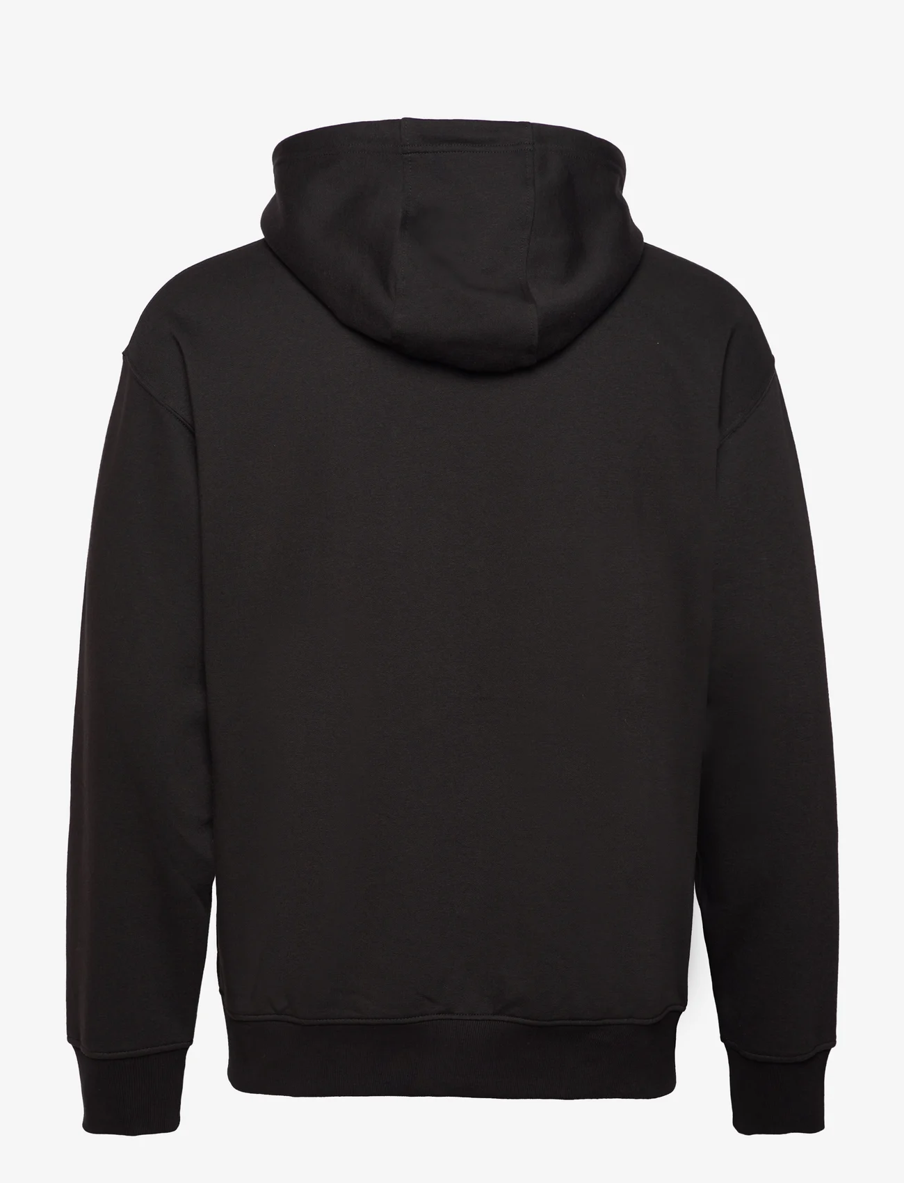 Solid - SDLENZ ZIPPER SW - hoodies - true black - 1