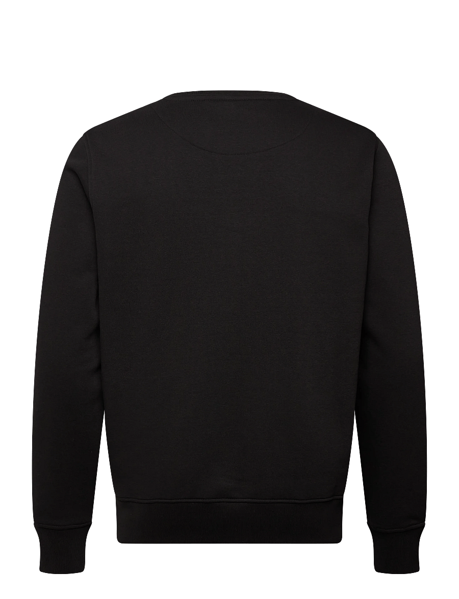 Solid - SDKBH CREW SW - sweatshirts - true black - 2