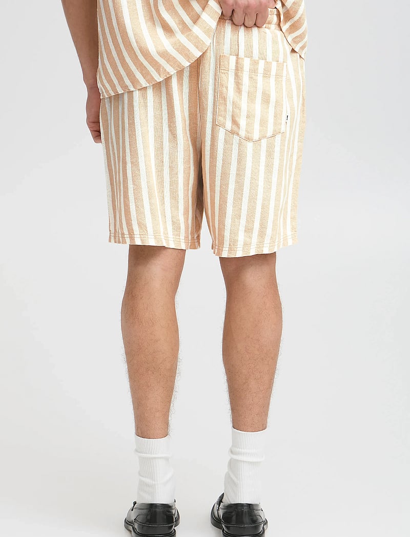 Solid - SDFRIED SHORTS - linneshorts - curds & whey - 4