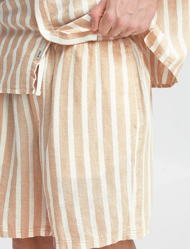 Solid - SDFRIED SHORTS - linneshorts - curds & whey - 5