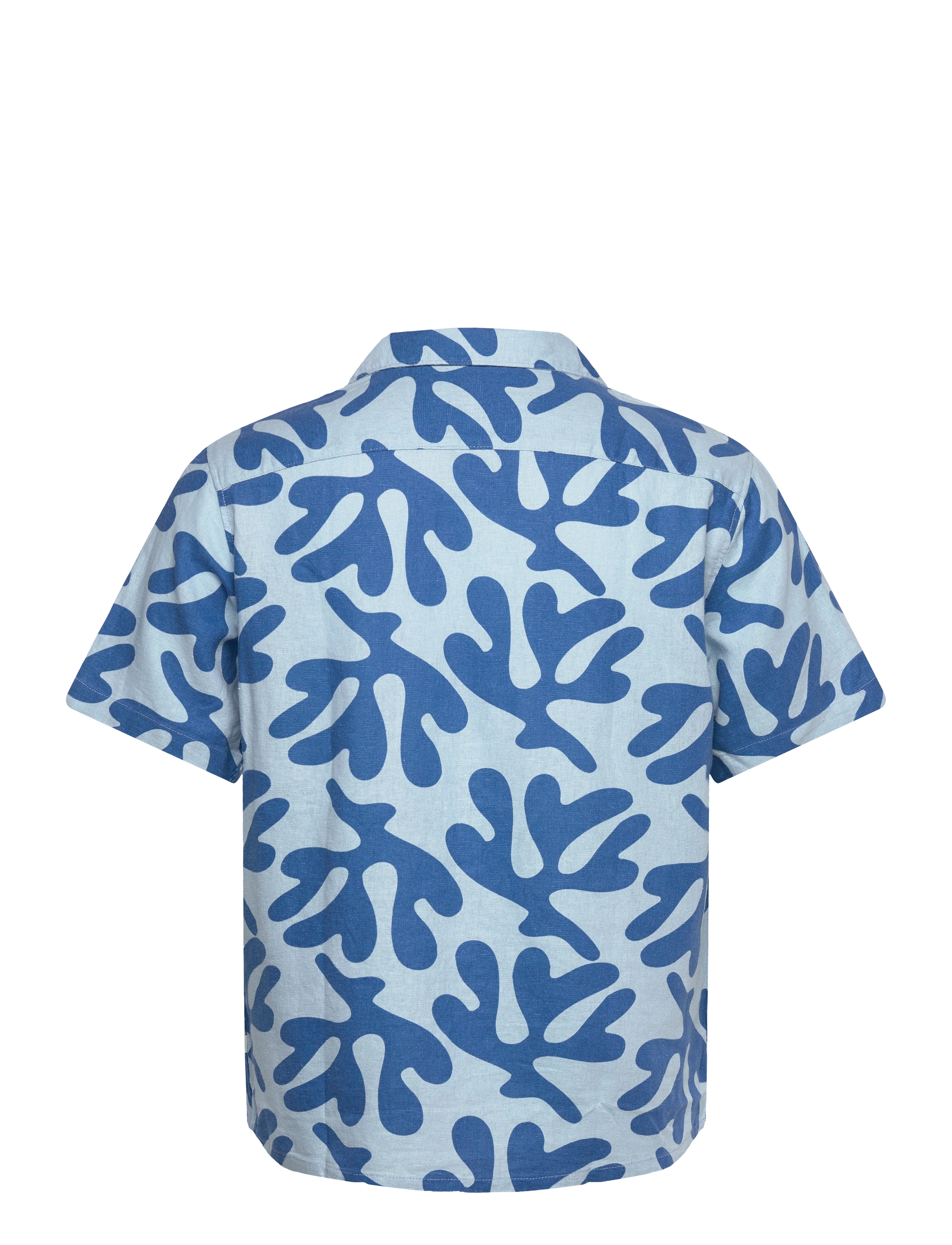 Solid - SDOLAVI - cool blue - 2