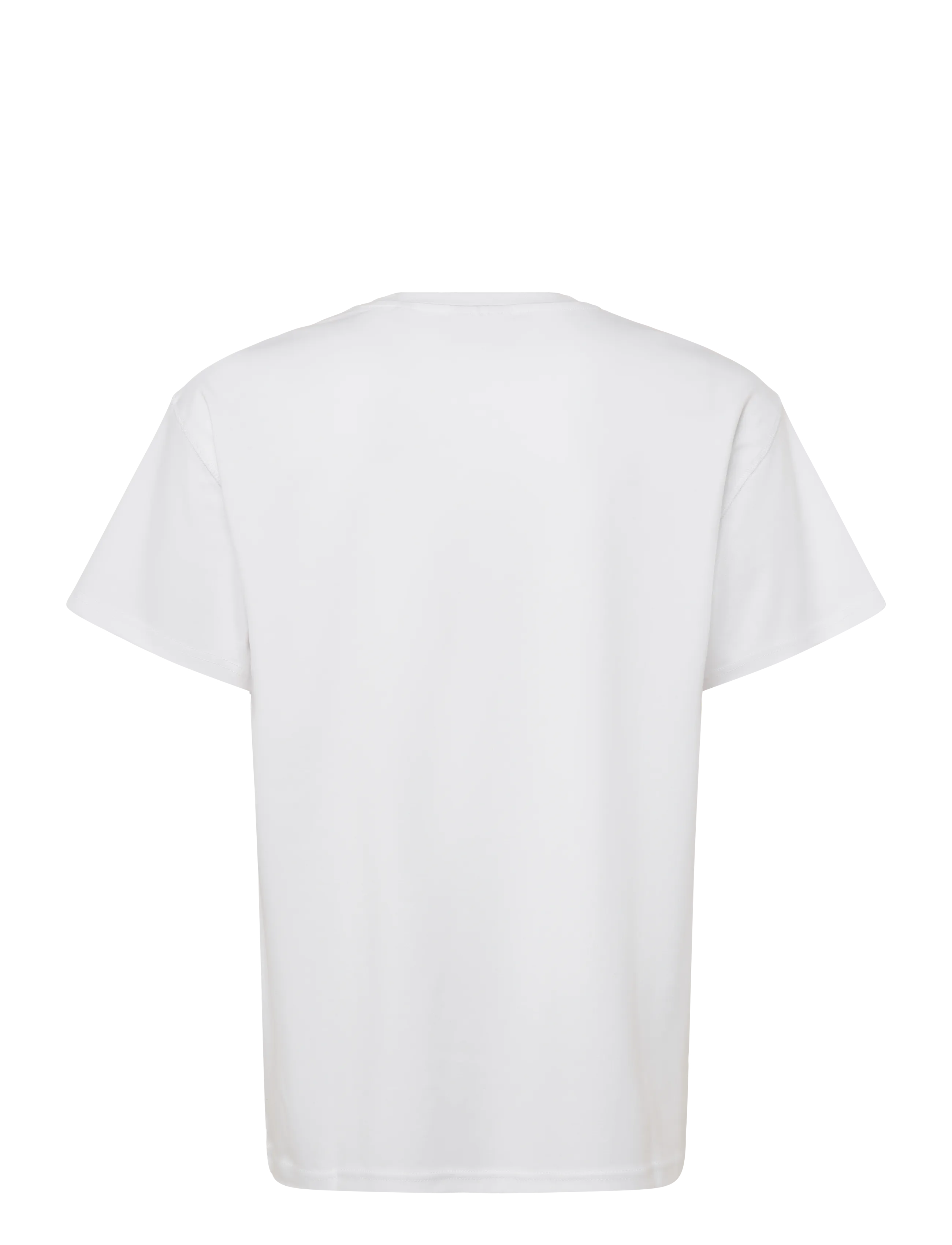 Solid - SDTRUX TEE - white - 1