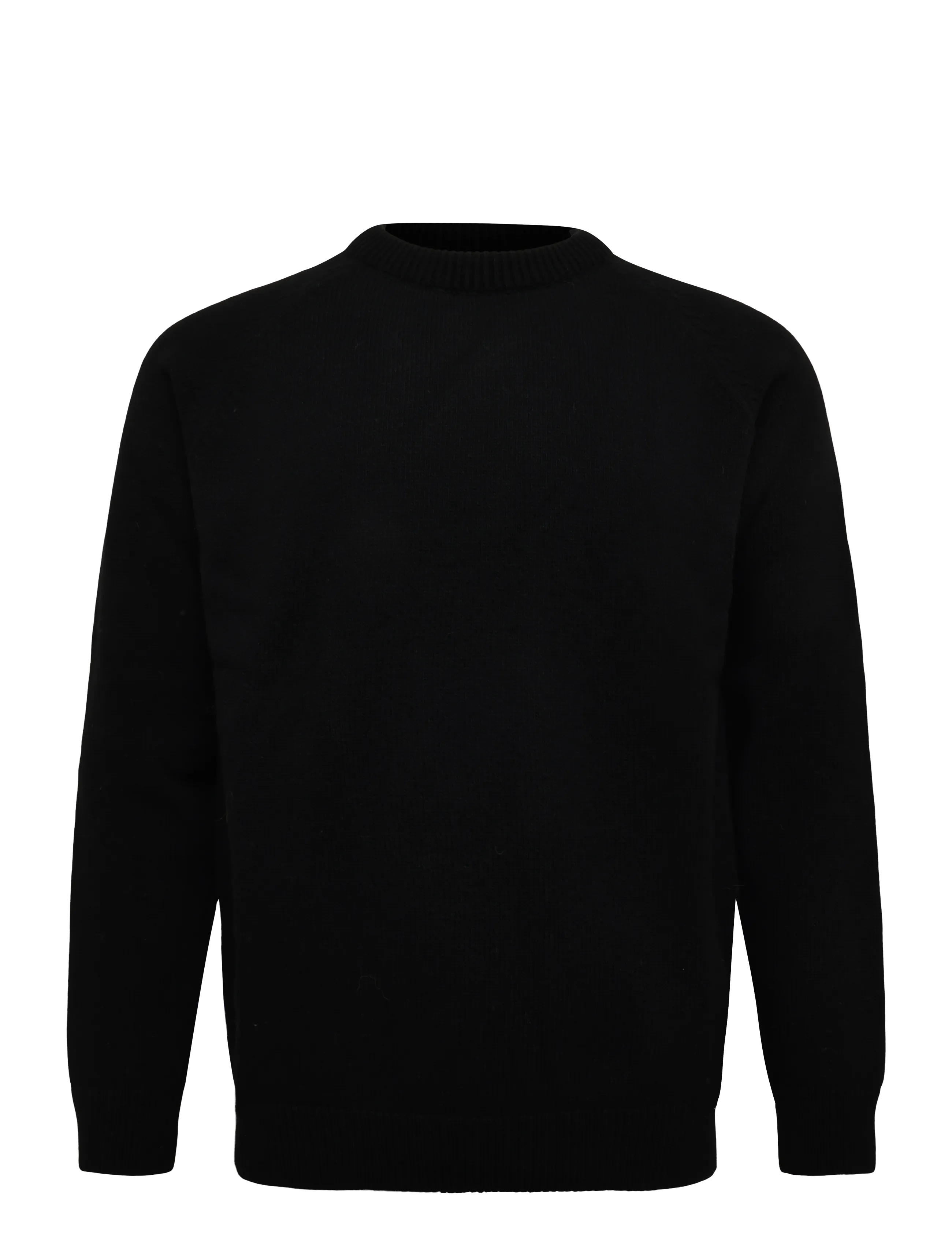 Solid SDSANTOS - Rund hals - TRUE BLACK / black