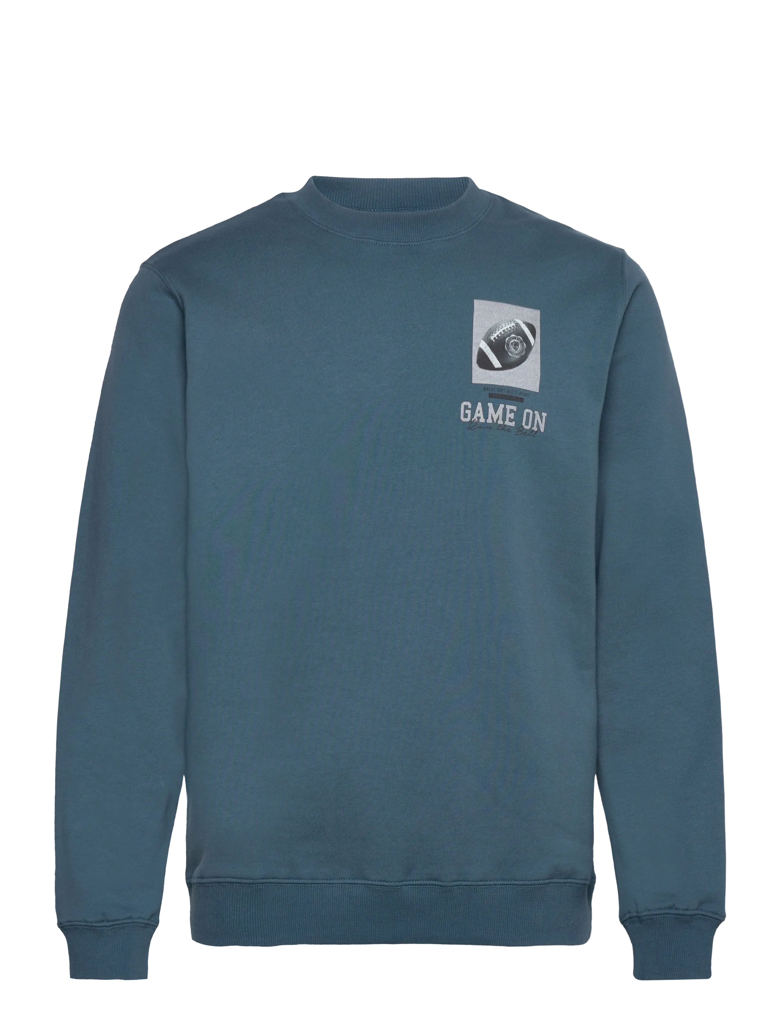 SDSWINTON - INDIAN TEAL